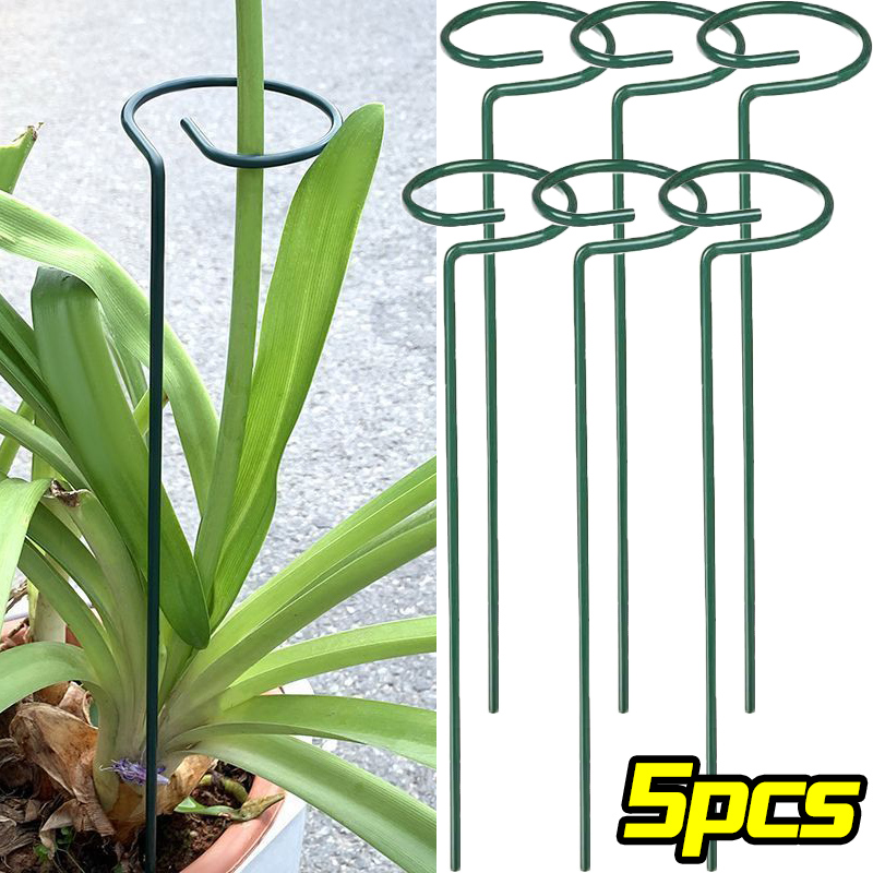 Florist Supply Bulk - 1/10 stücke Garten Unterstützung Stake Ring