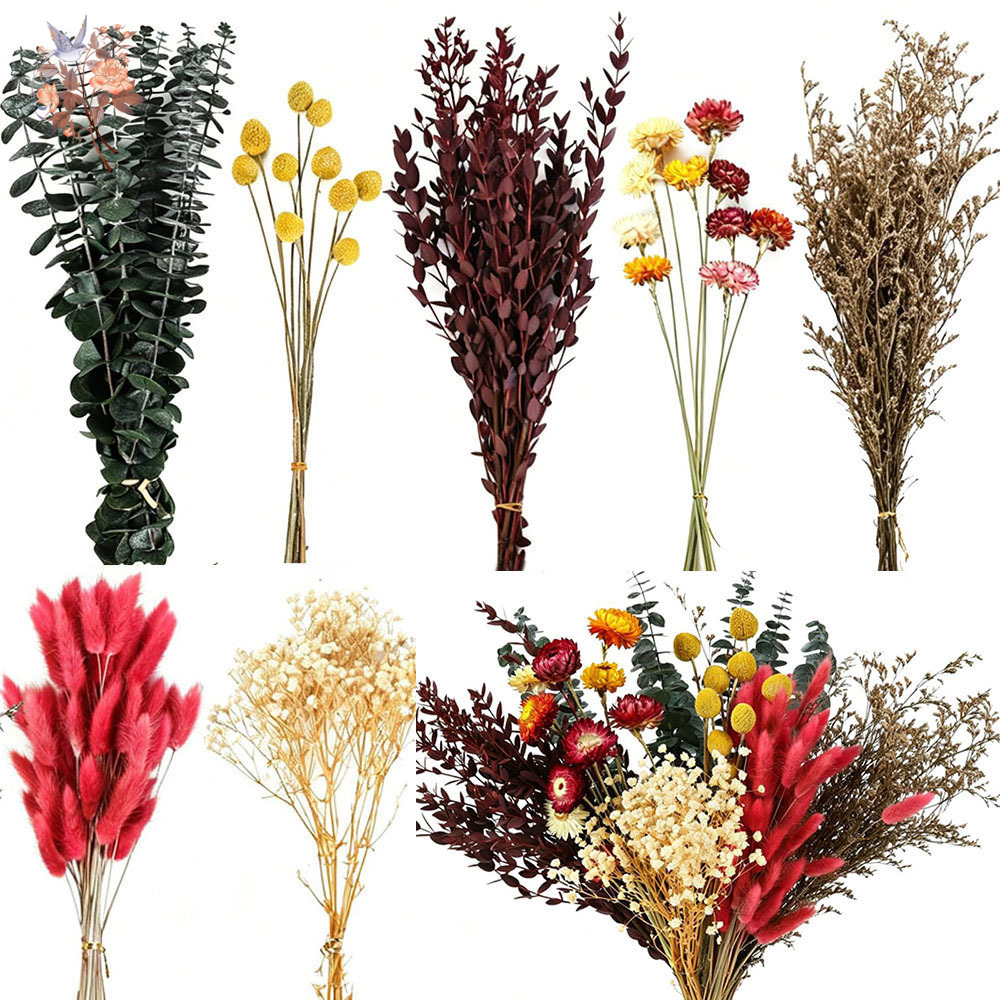 Florist Flower Supply - Getrocknete Blumen Großpackung 7 Sorten Natürliche