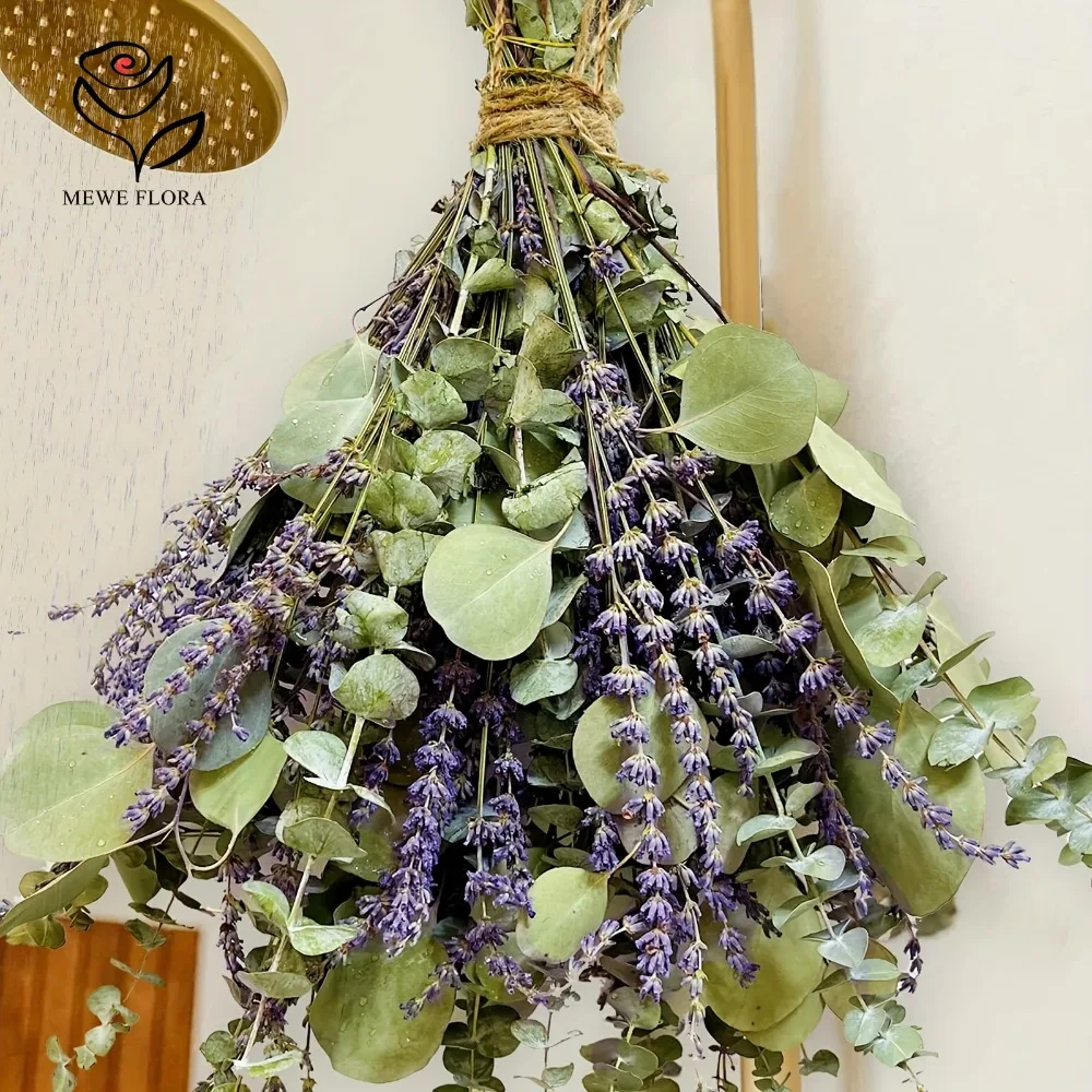 Eucalyptus Preserved - 30 Stück getrocknete Blumen, konservierte Eukalyptusblätter,