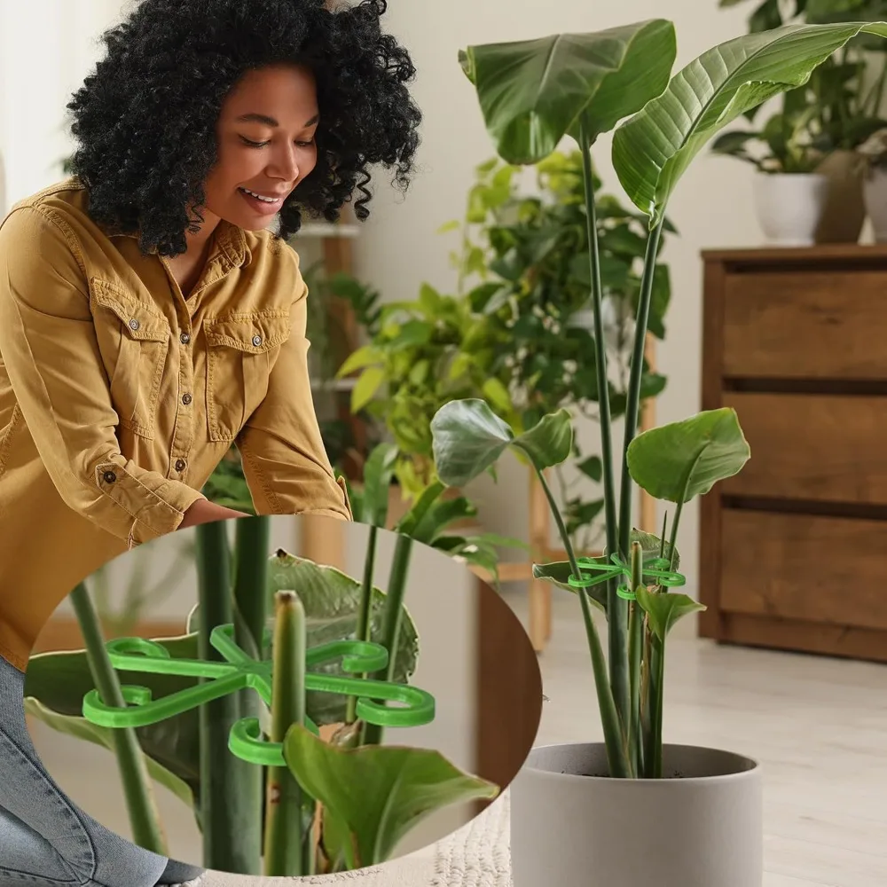 Blume Pflanze Stem Unterstützu – Florist Supply Bulk Bewertung und Preis