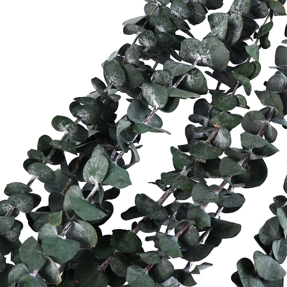 10 Stück Echte Hängende Getroc – Eucalyptus Preserved Bewertung und Preis