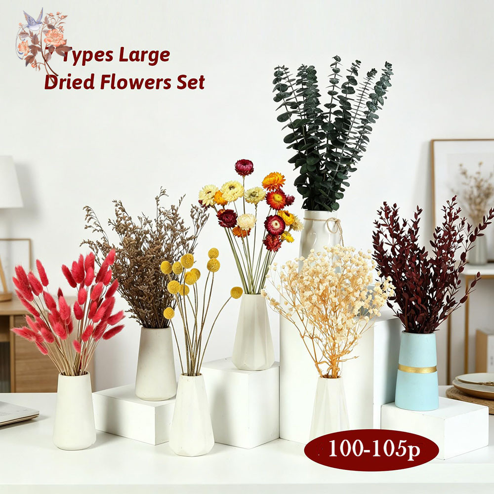 Getrocknete Blumen Großpackung – Florist Flower Supply Bewertung und Preis