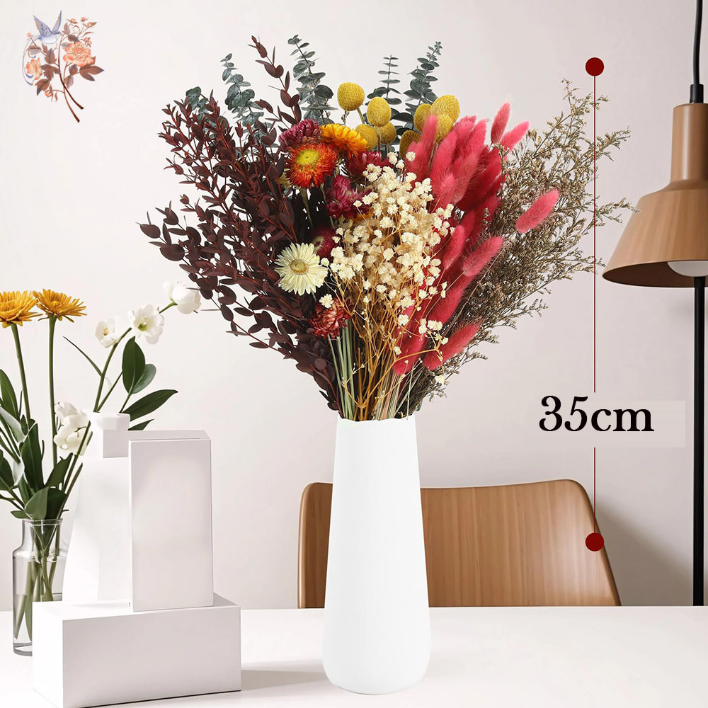 Getrocknete Blumen Großpackung – Florist Flower Supply Bewertung und Preis