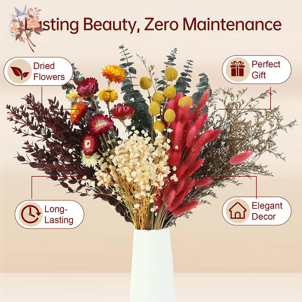 Getrocknete Blumen Großpackung – Florist Flower Supply Bewertung und Preis