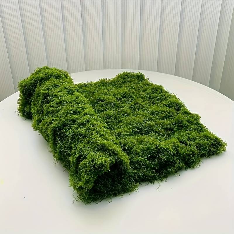 6 x 6 Meter Künstliche Moosmat – Preserved Moss Sheet Bewertung und Preis