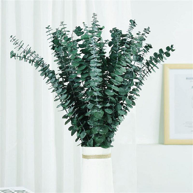 10 Stück echte Eukalyptusblätt – Eucalyptus Preserved Bewertung und Preis