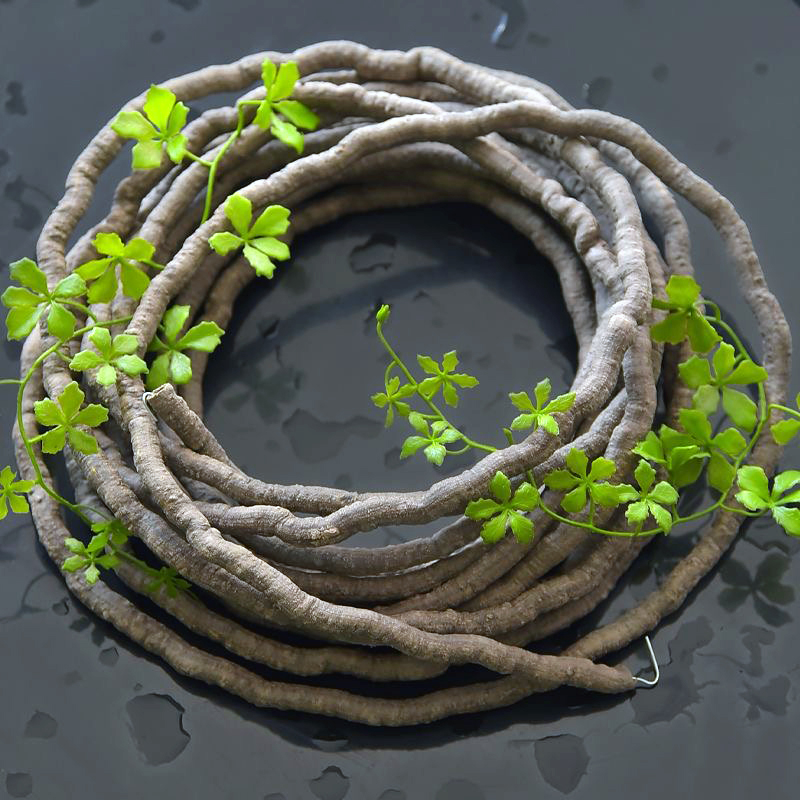 Künstliche Efeu-Pflanzen 100 c – Preserved Moss Sheet Bewertung und Preis