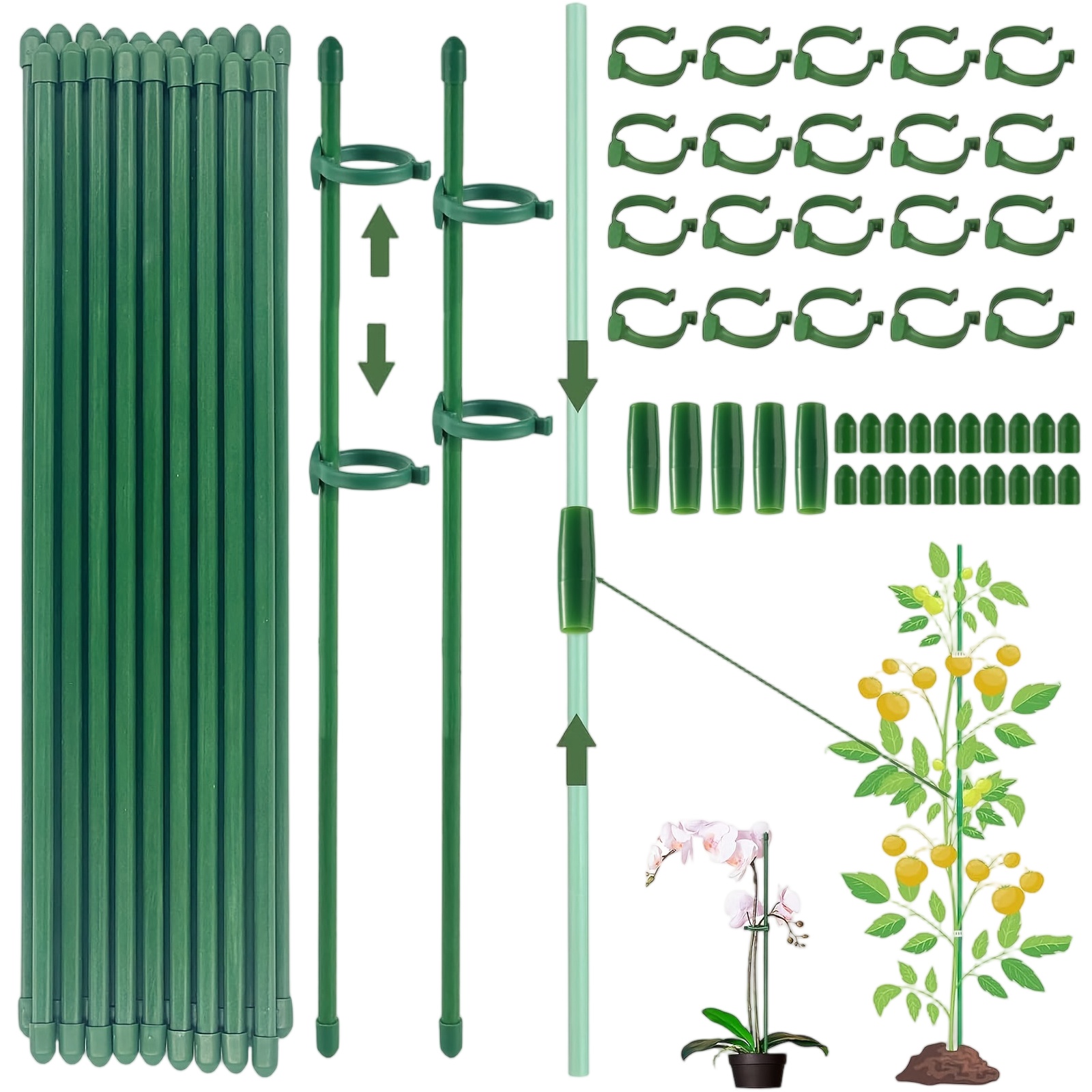 Pflanzenstützen: Verstellbare  – Florist Supply Bulk Bewertung und Preis