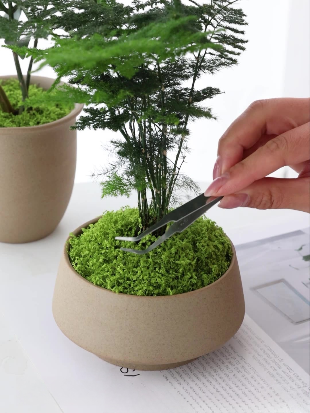 Künstliche Moosfilamente, Moos – Preserved Moss Sheet Bewertung und Preis