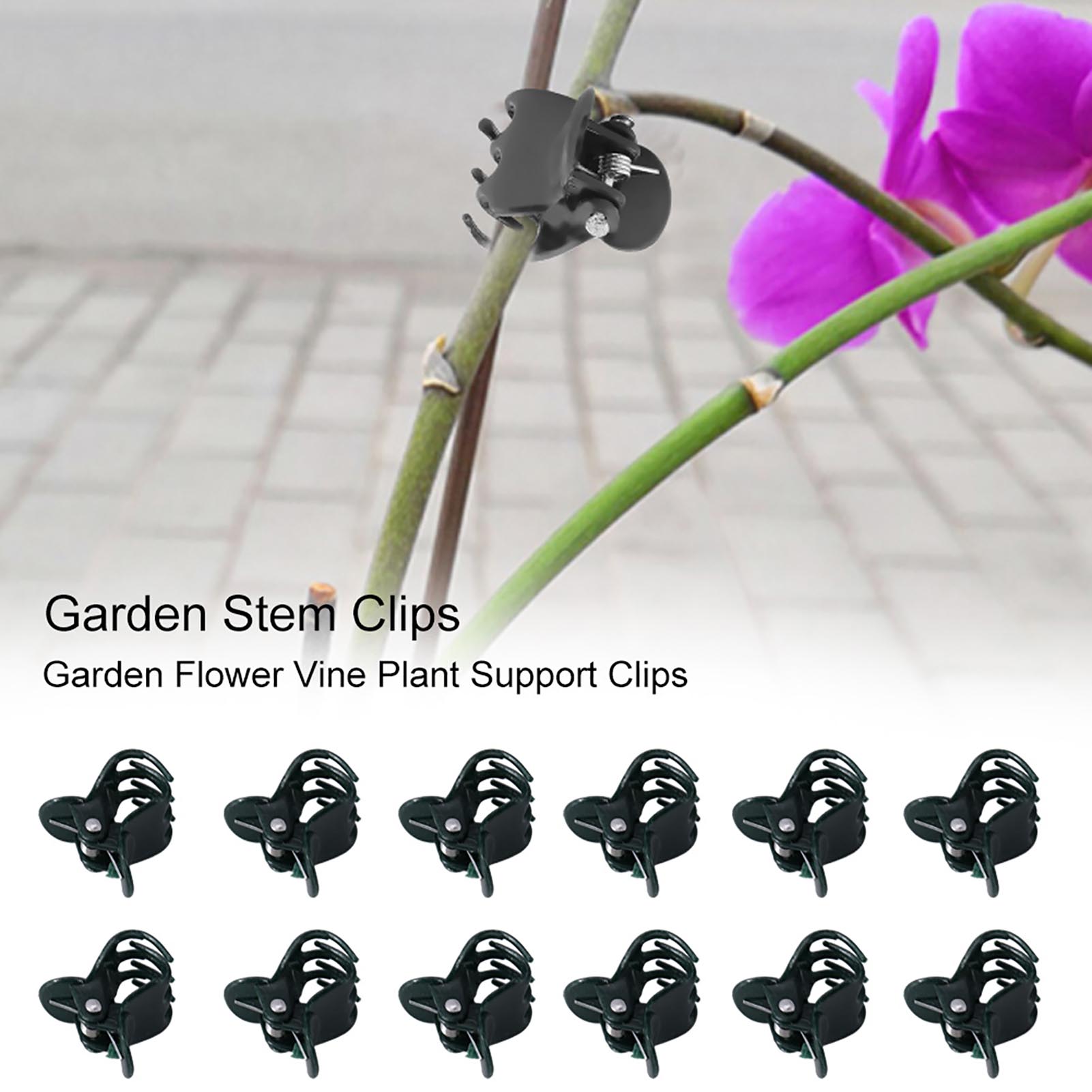 100 Stück Mini-Pflanzenklammer – Florist Supply Bulk Bewertung und Preis