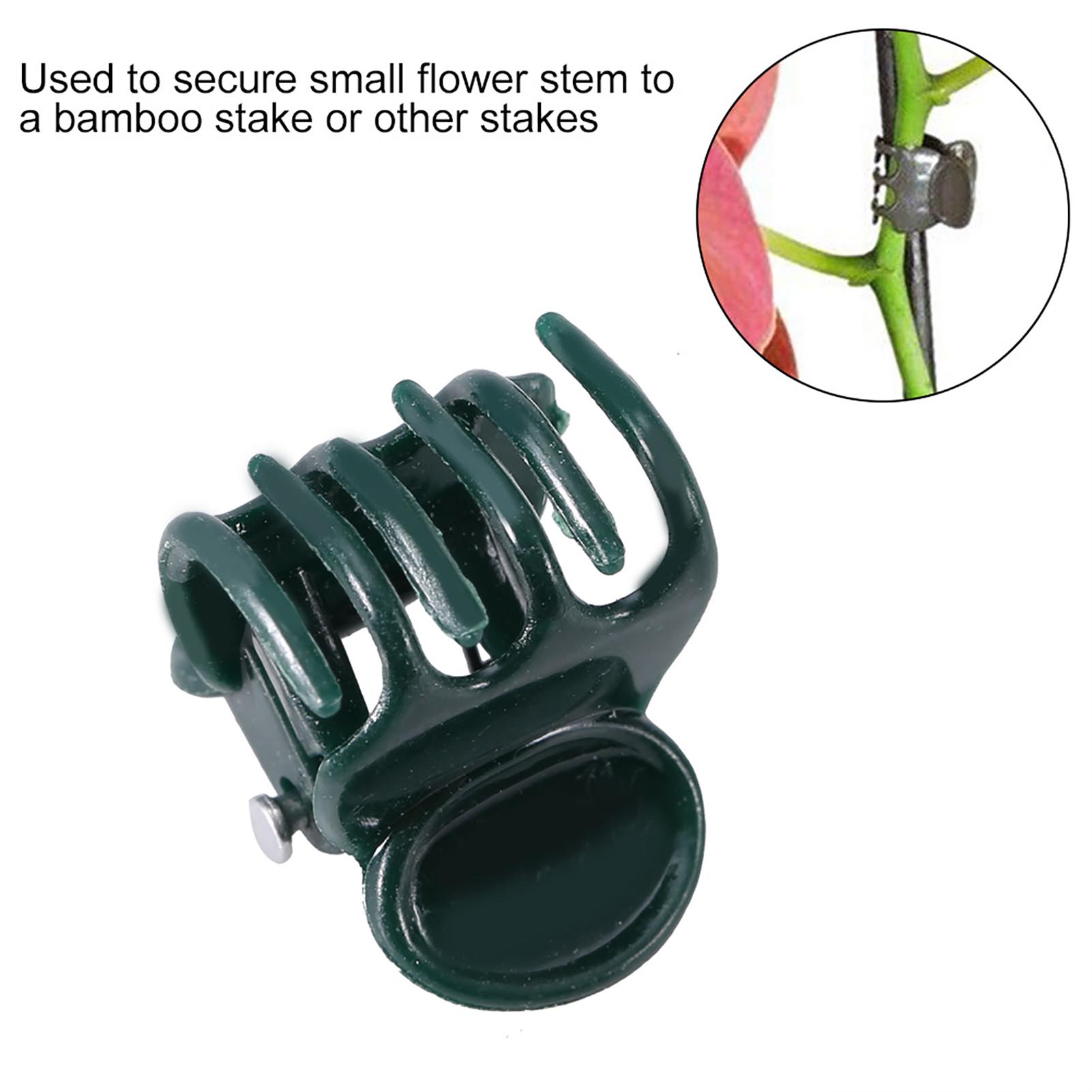 100 Stück Mini-Pflanzenklammer – Florist Supply Bulk Bewertung und Preis