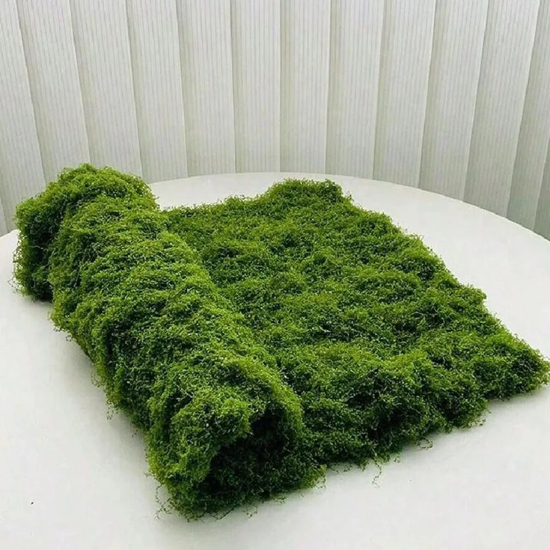 Künstliches Moos für Mikroland – Preserved Moss Sheet Bewertung und Preis